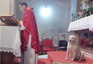 Frosinone - Il cane durante la messa