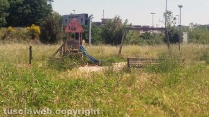 Viterbo - Erba alta al parco vicino al Centro commerciale Tuscia