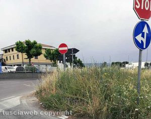 Viterbo - Poggino - Scarsa visuale a causa dell'erba alta