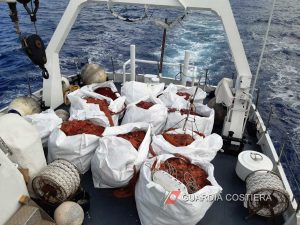 La rete sequestrata dalla guardia costiera