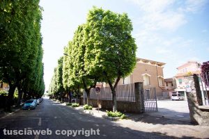 Viterbo - Viale Bruno Buozzi