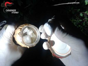 Viterbo - Carabinieri - Operazione Underground - La droga sequestrata