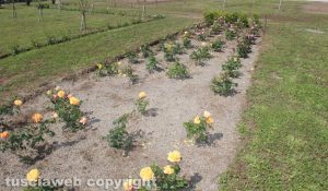 Il Giardino arcobaleno
