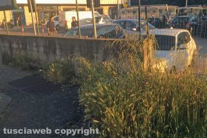 Viterbo - Erbacce in via Monti Cimini