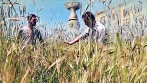 Viterbo - Erba alta - Il video satirico