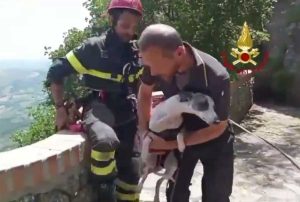 San Marino - I vigili del fuoco salvano un levriero