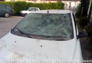 Montefiascone – Scontro tra un’auto e un cinghiale