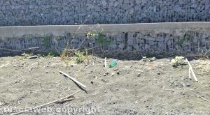 Montefiascone - Il degrado sul lungolago