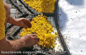 Bolsena - L'infiorata del Corpus Domini