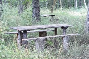 Viterbo - Incuria al parco dei monti Cimini