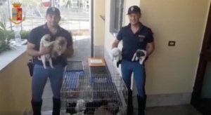 Arezzo - La polizia stradale con i cuccioli
