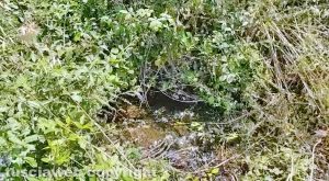 Viterbo - La perdita d'acqua calda