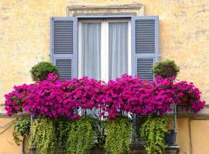Ronciglione - Balcone in fiore