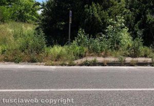 Viterbo - Marciapiedi in strada Teverina nel degrado