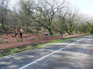 Ronciglione - Lago di Vico - Il progetto della pista ciclabile