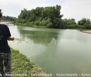 Pesca di frodo sul Fiora