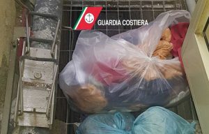 Polignano a Mare - Gli alimenti sequestrati dalla Guardia Costiera