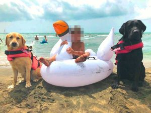 Il bimbo salvato dai cani a Tarquinia lido