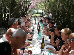 L'iniziativa all'isola Martana