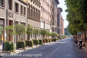 Viterbo - Via Marconi