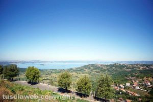 Montefiascone - Lago di Bolsena