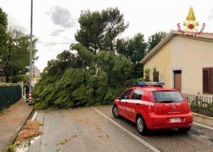 Maltempo nelle Marche - Intervento dei vigili del fuoco