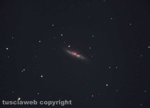 La galassia M 82