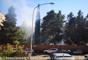 Viterbo - Incendio in via Monti Cimini