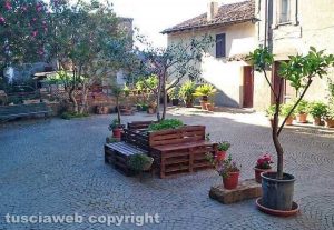 I fiori a Sutri