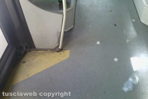 Viterbo - Incuria su un bus Francigena