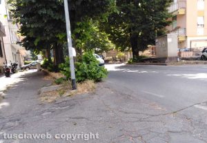 Erba alta all'incrocio tra strada Ponte Vejano e viale Fiume