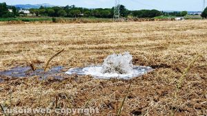 Mega perdita di acqua potabile a Viterbo in strada Pantane