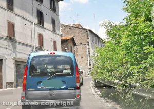 Il semaforo coperto dalle piante al passaggio al livello di Bagnaia