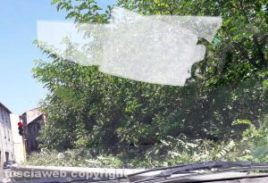 Bagnaia - Ancora vegetazione alta al semaforo