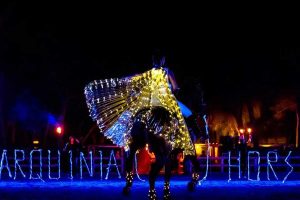 Tarquinia horse show