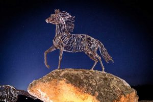 Tarquinia - Tra i rami dell'arte