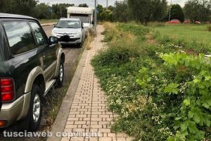 Viterbo - I marciapiedi in via Raffaello coperti di erba
