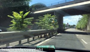 Viterbo - "Viale alberato" sul raccordino