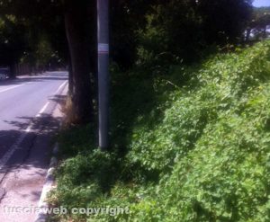 Viterbo - Degrado a viale Fiume tra La Quercia e Bagnaia