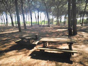 Tarquinia - Ripulito il parcheggio-area pic nic di Spinicci
