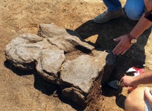 Vulci - Scoperta statua di un leone alato