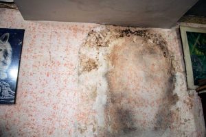 Tuscania - Le infiltrazioni nelle case ex-Gescal