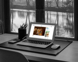 Carta del docente: pc e tablet