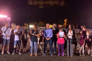 Il Tarquinia horse show