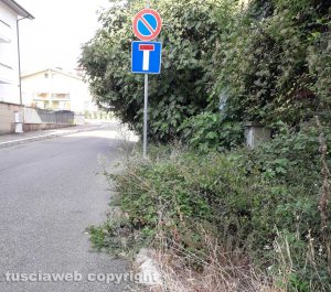 Viterbo - Il cespuglio in via Mantova che limita la visibilità