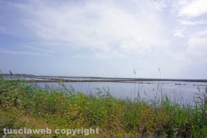 Tarquinia - Saline - La riserva naturale