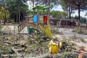 Vetralla - Lo scivolo colpito dal leccio crollato