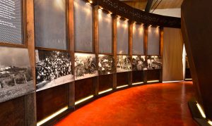 Castiglione in Teverina -Museo del vino