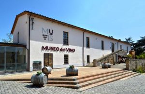 Castiglione in Teverina - Il museo del Vino