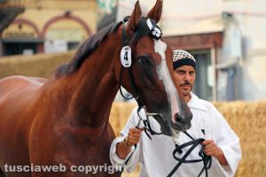 Ronciglione - Corse a vuoto 2019